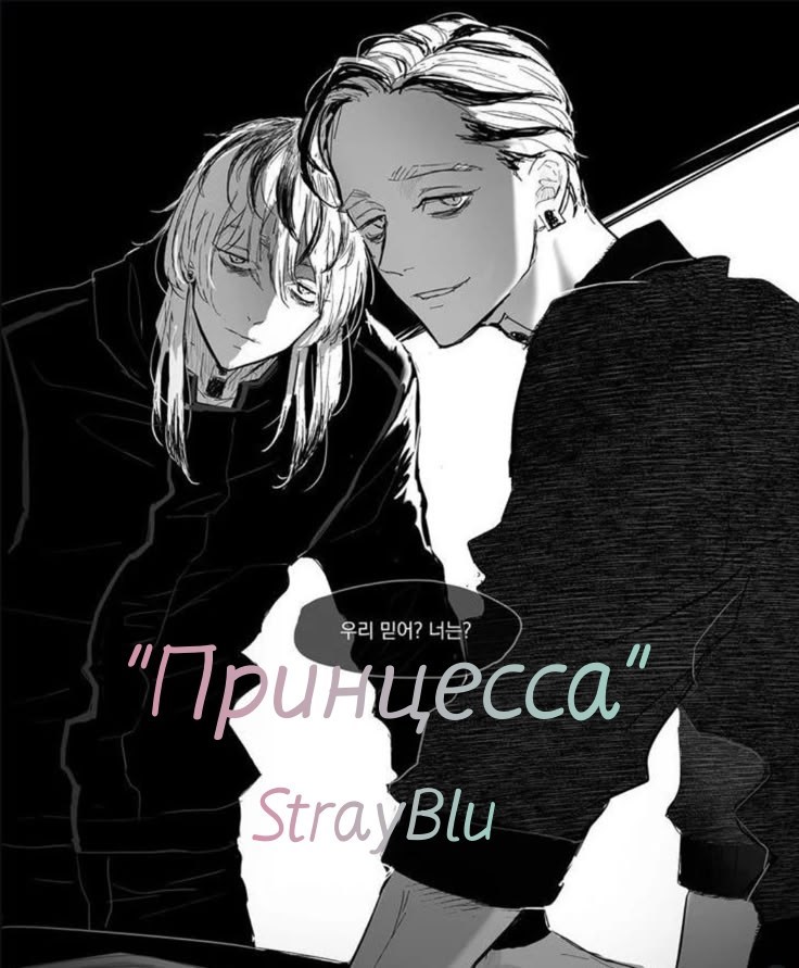 Обложка книги Принцесса