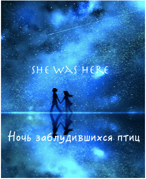 Обложка книги Ночь заблудившихся птиц