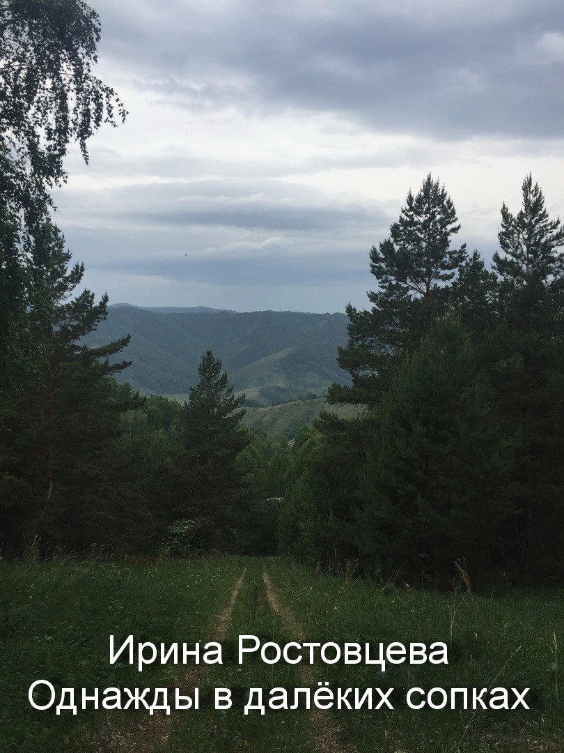 Обложка книги Однажды в далёких сопках