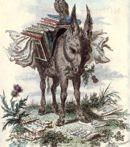 Обложка книги Где я и почему у меня копыта?