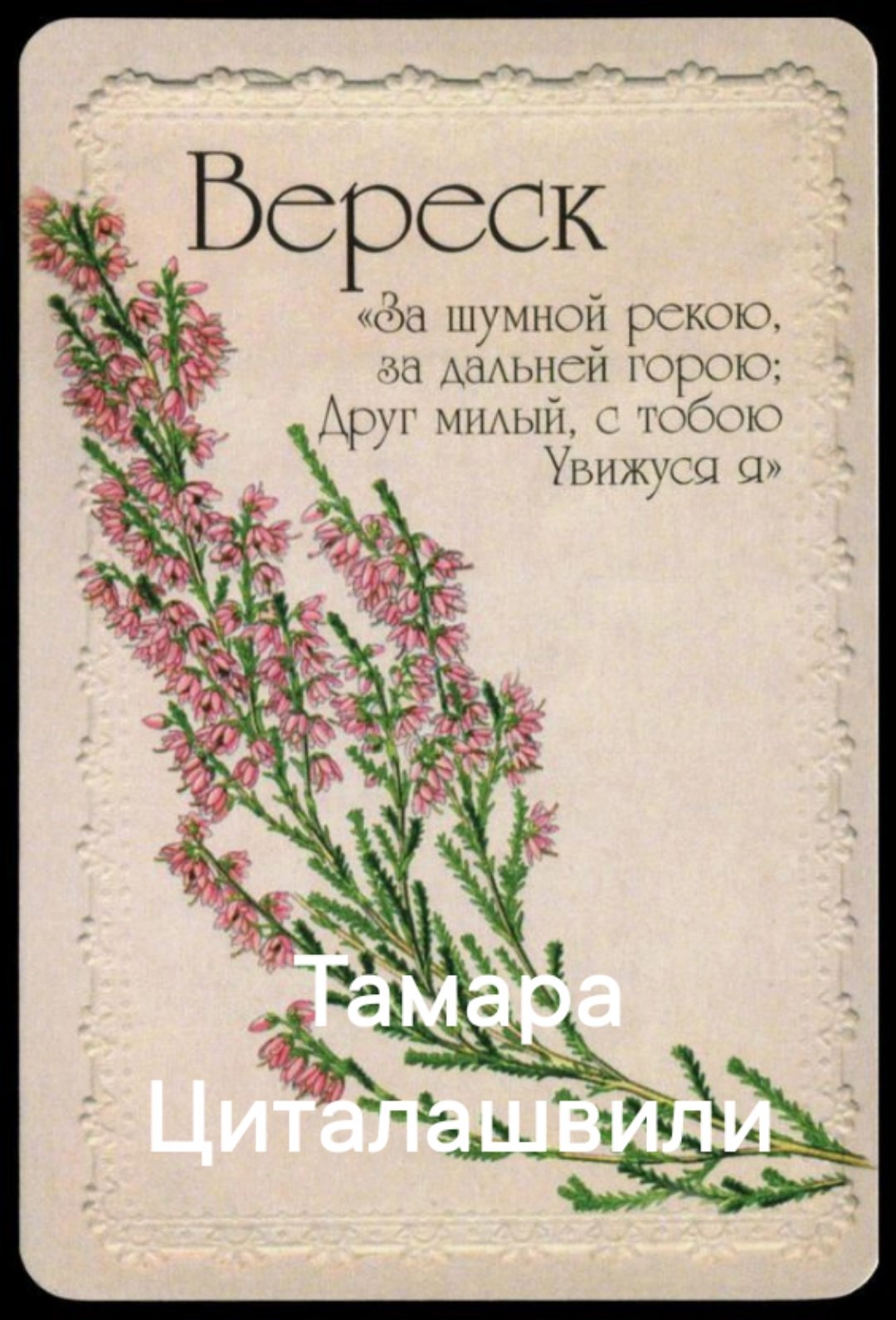 Обложка книги Вереск