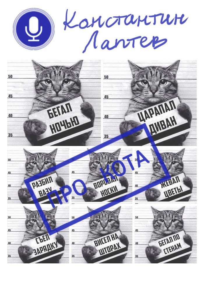 Обложка книги Про кота