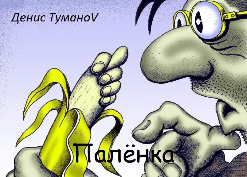 Обложка книги Палёнка
