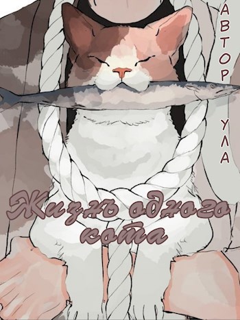 Обложка книги Жизнь одного кота