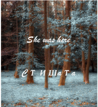 Обложка книги Стишата