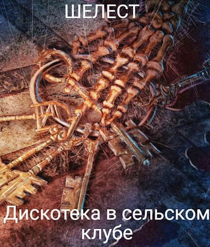 Обложка книги Дискотека в сельском клубе