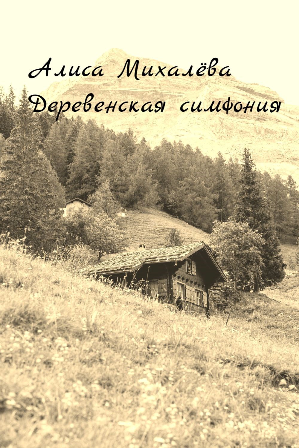 Обложка книги Деревенская симфония