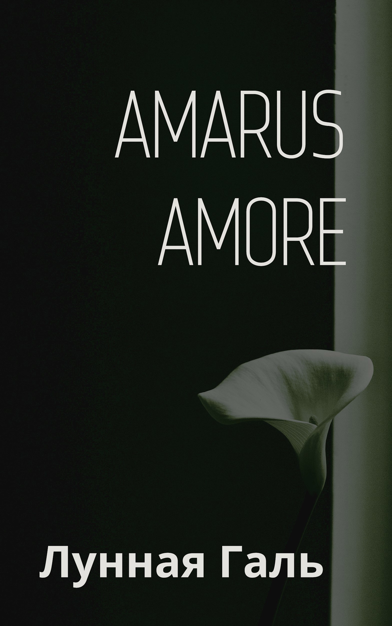 Обложка книги Amarus Amore