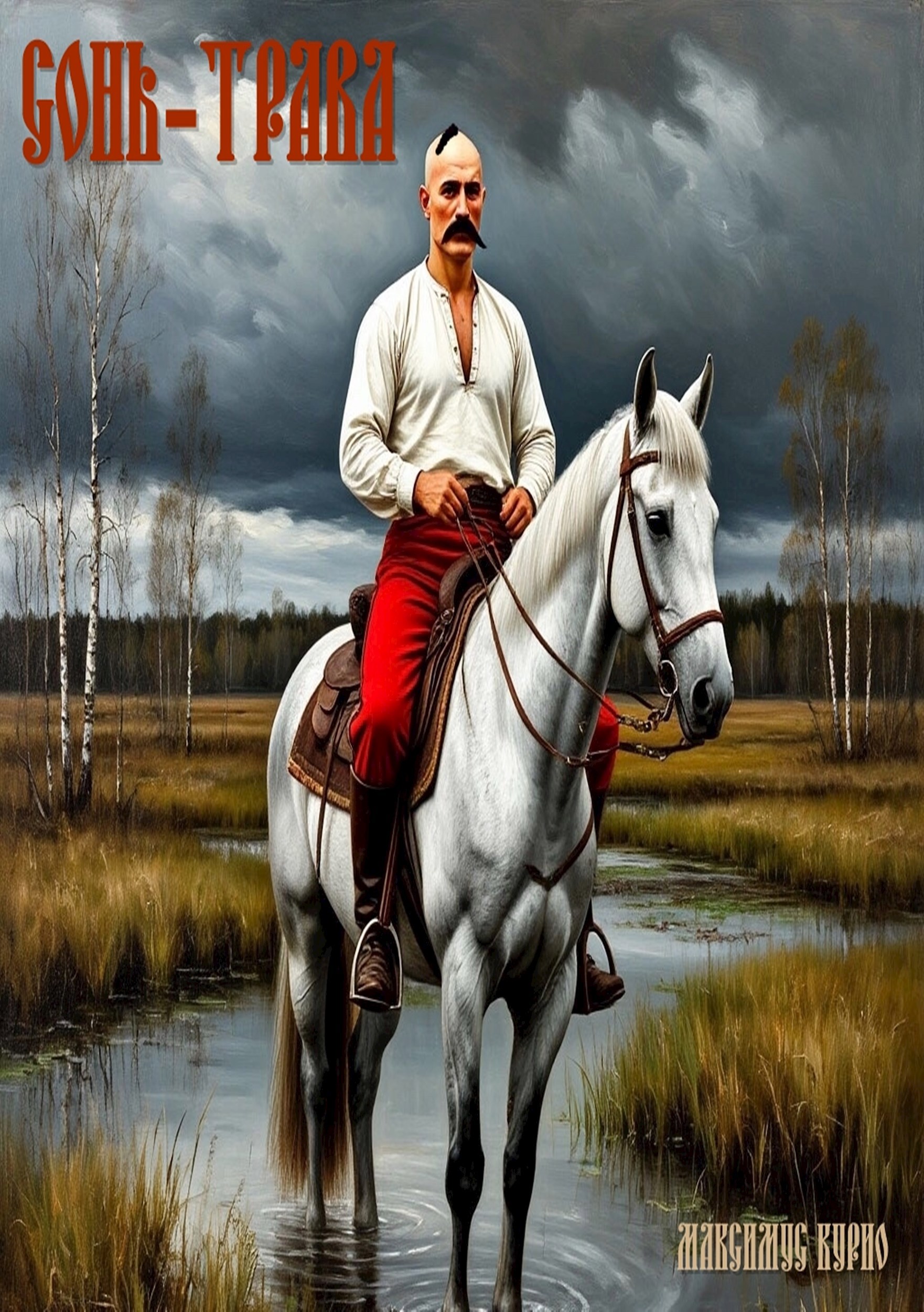 Обложка книги Сонь-трава
