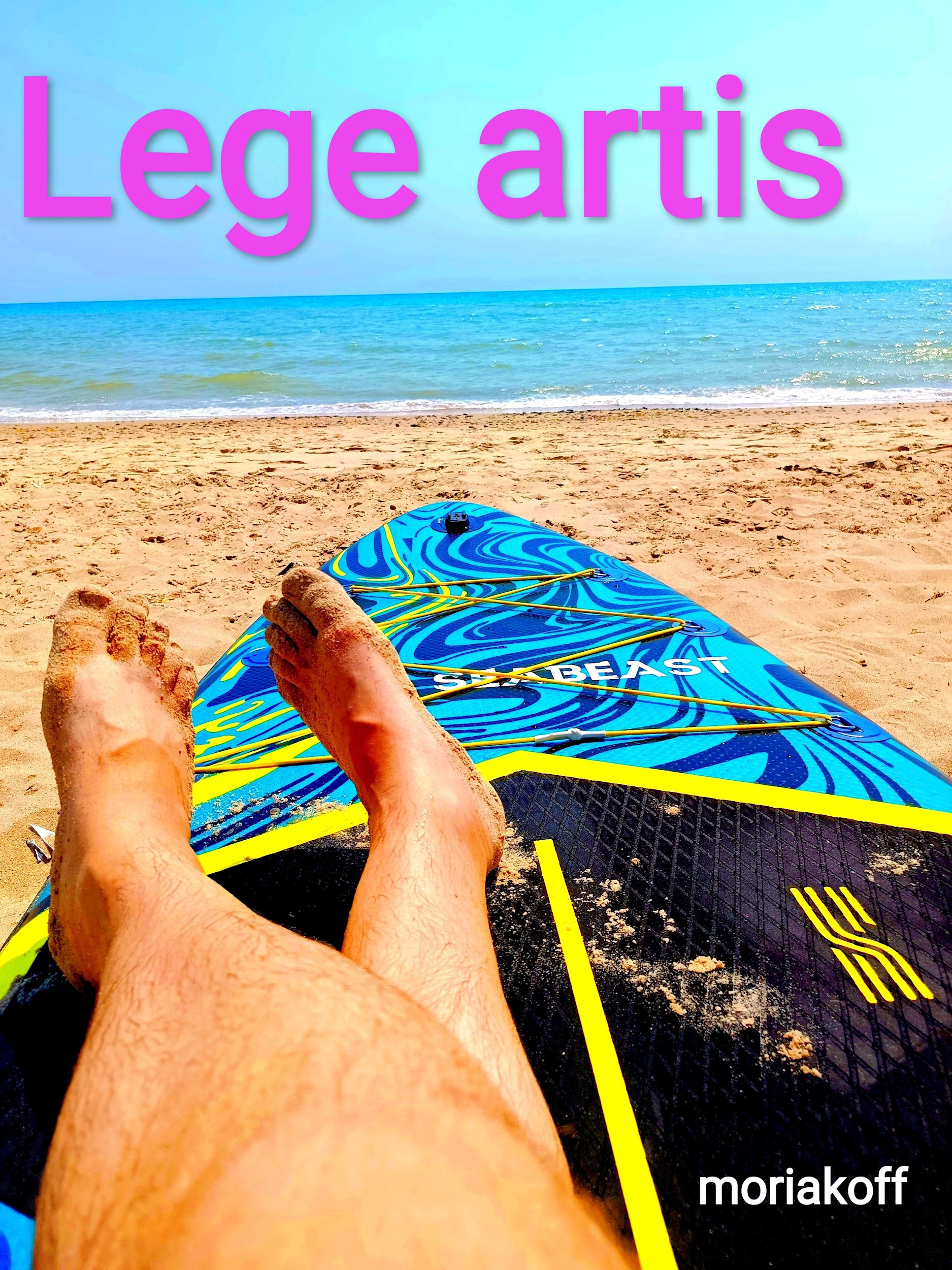 Обложка книги Lege artis.