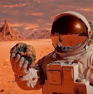 Обложка книги Исход