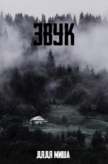 Обложка книги Звук