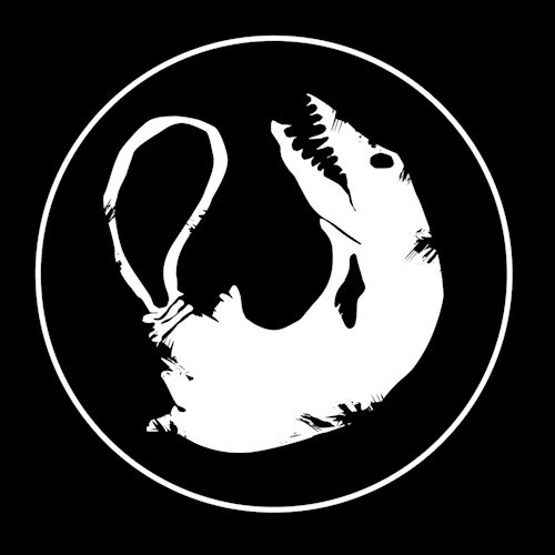 Обложка книги Корректировка №13