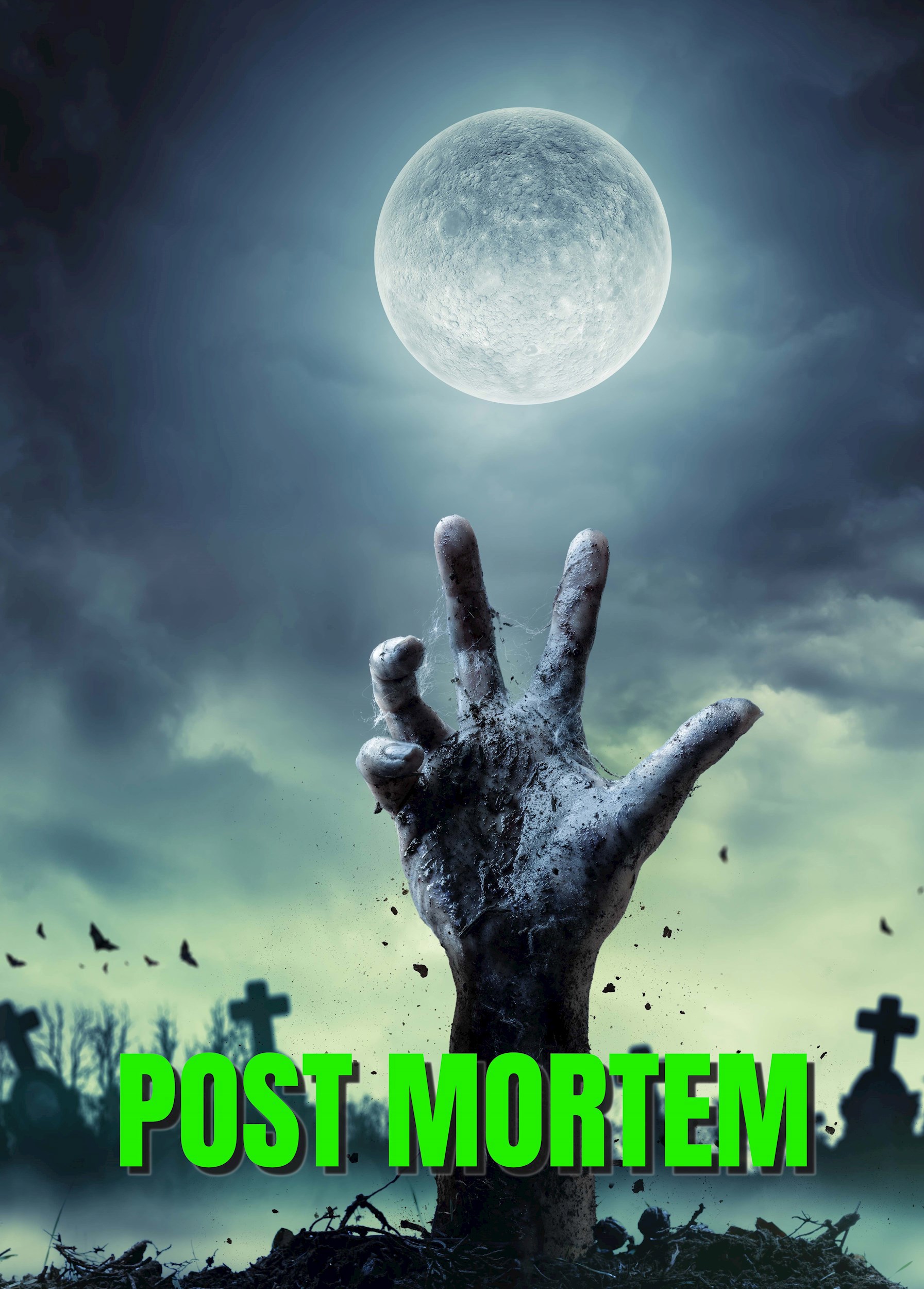 Обложка книги Post mortem