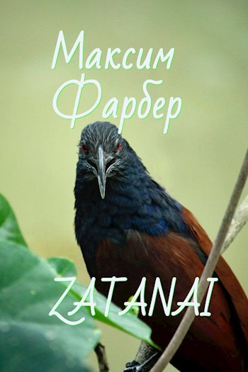 Обложка книги Zatanai