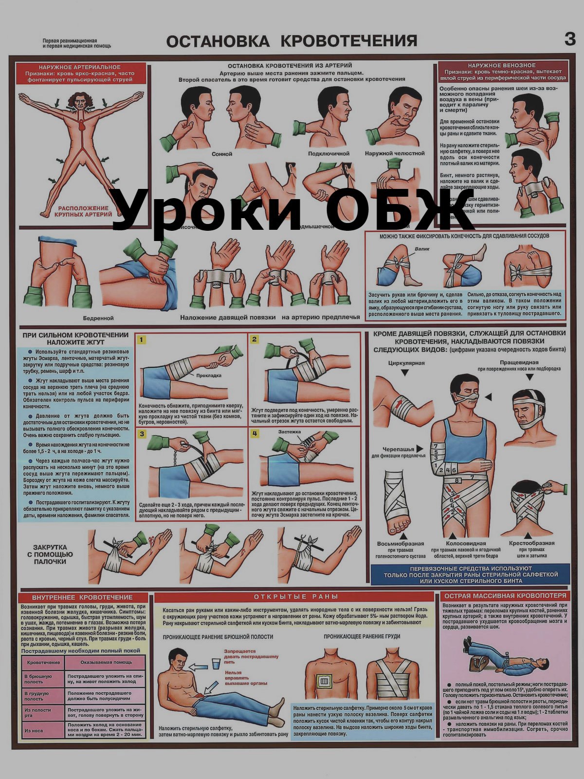 Обложка книги Уроки ОБЖ