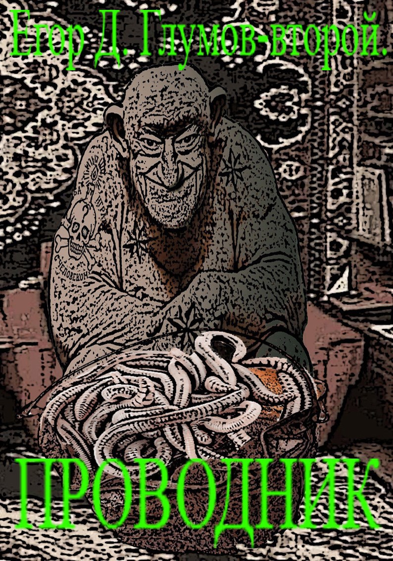 Обложка книги Проводник