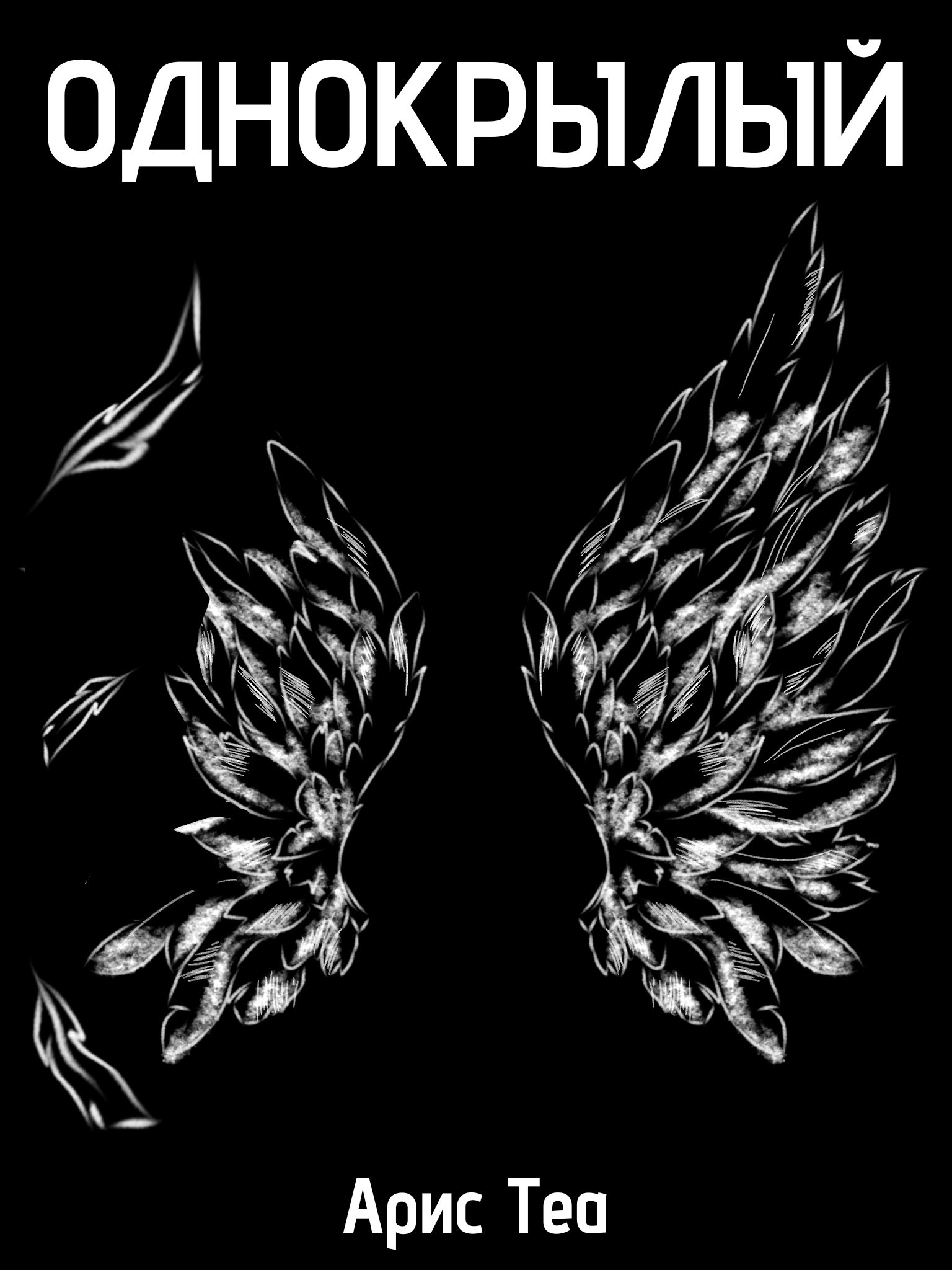 Обложка книги Однокрылый