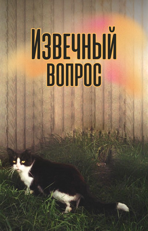 Обложка книги Извечный вопрос