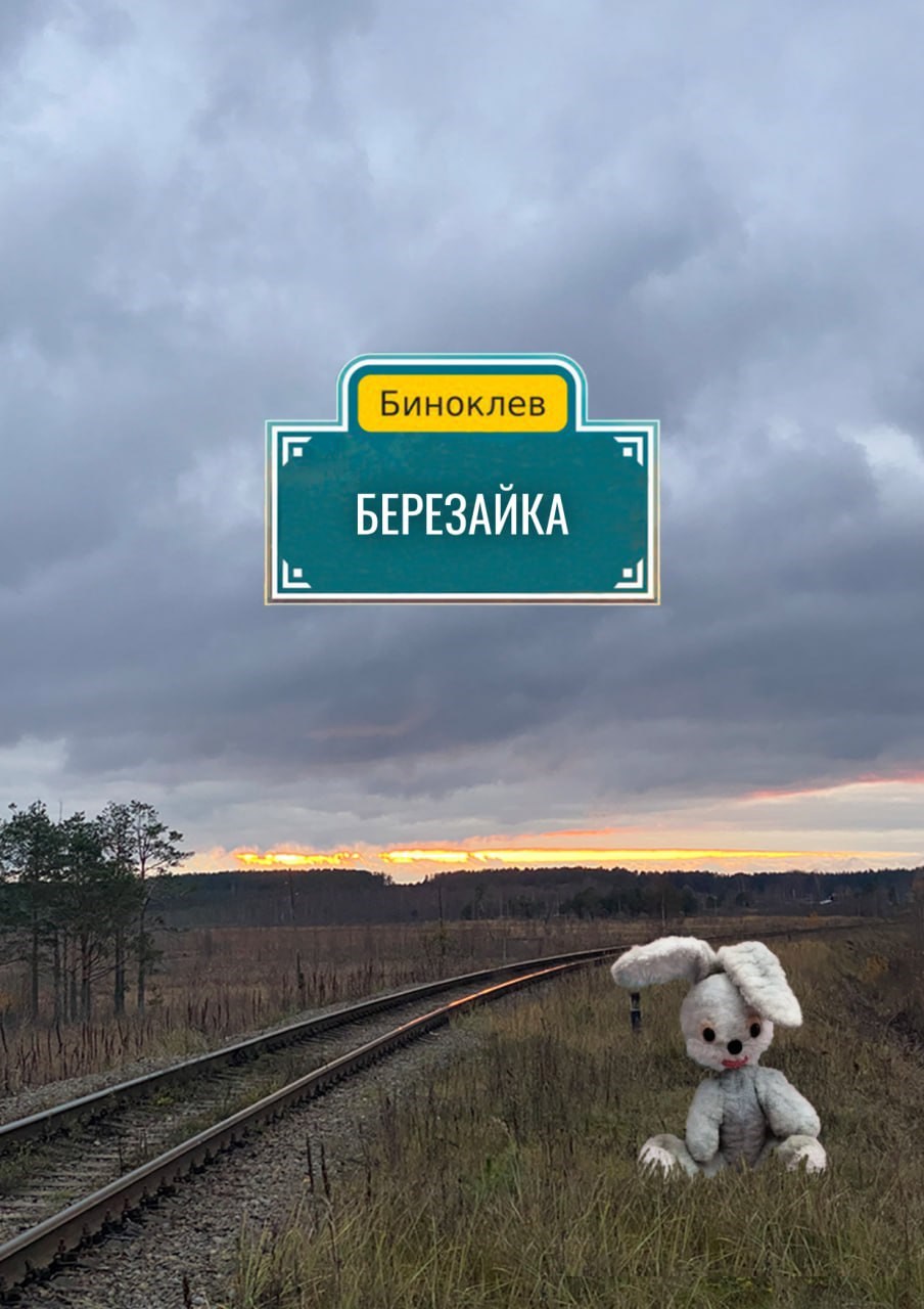 Обложка книги Березайка
