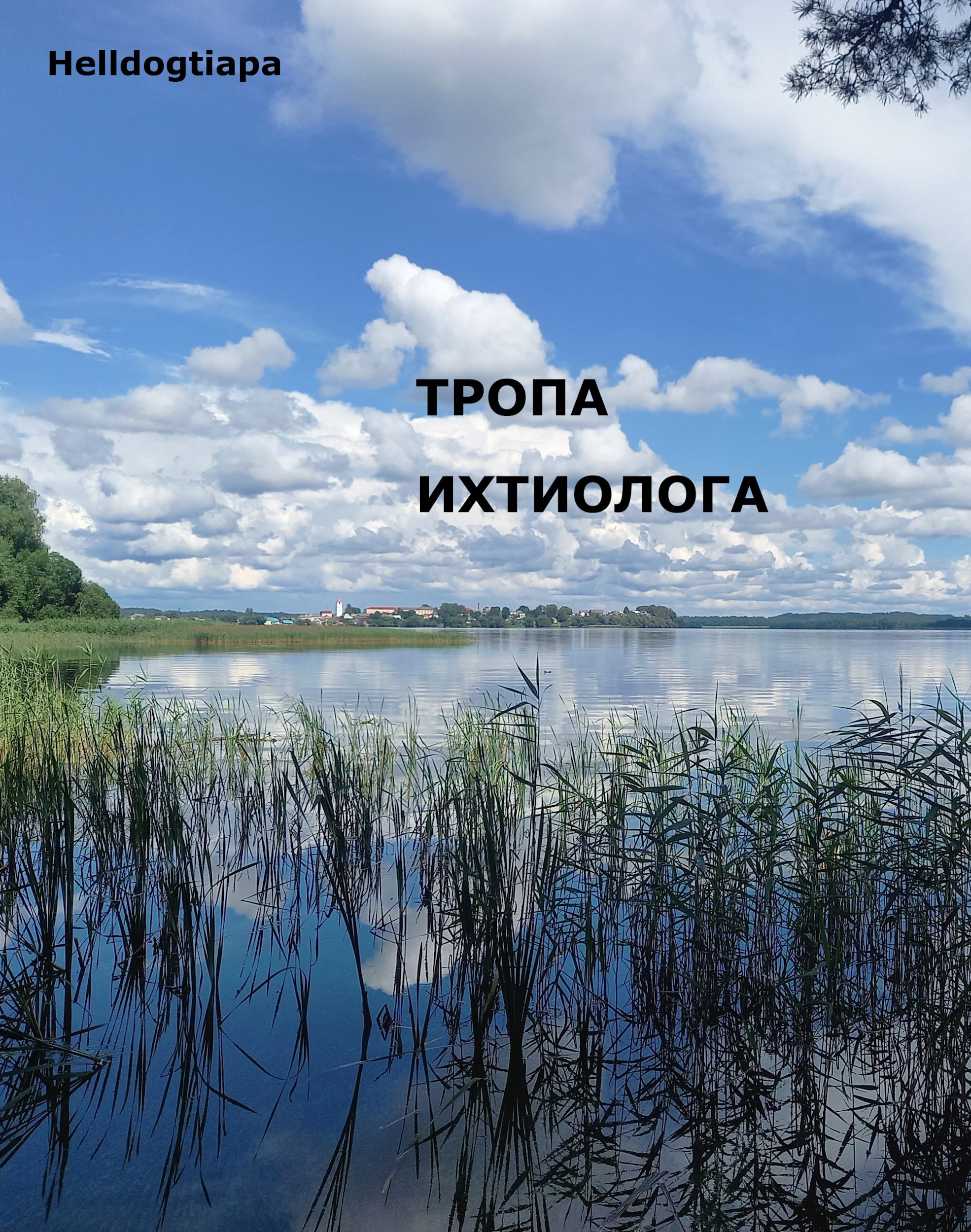 Обложка книги Тропа ихтиолога