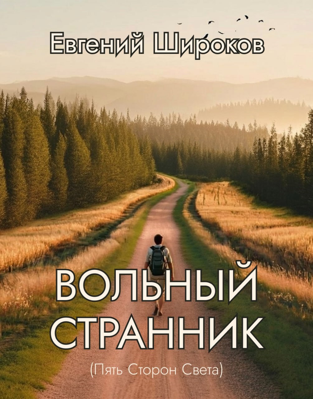 Обложка книги Вольный Странник