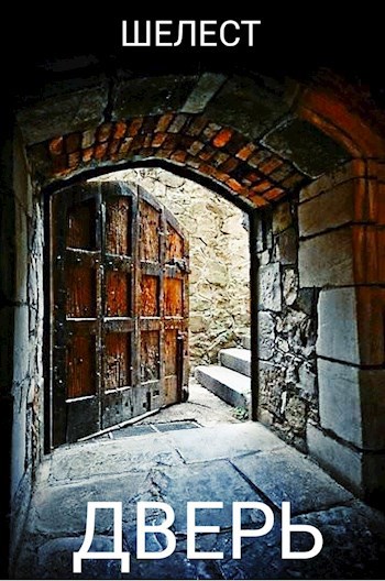Обложка книги Дверь.