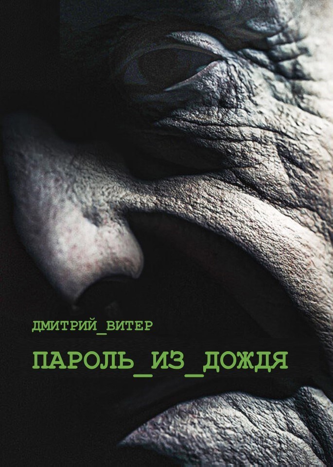 Обложка книги Пароль из дождя