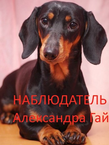 Обложка книги Наблюдатель