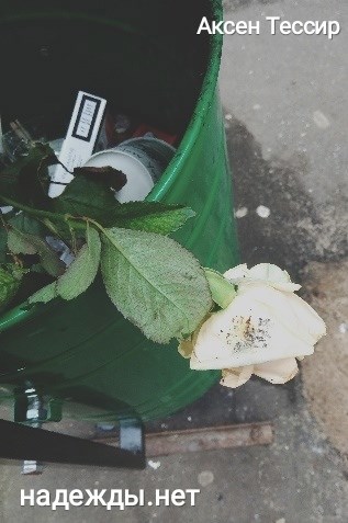 Обложка книги надежды.нет