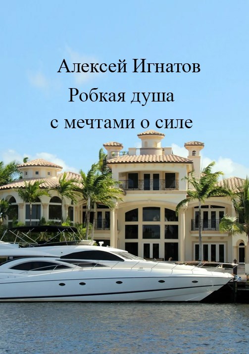 Обложка книги Робкая душа с мечтами о силе