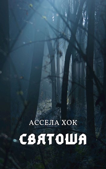 Обложка книги Святоша