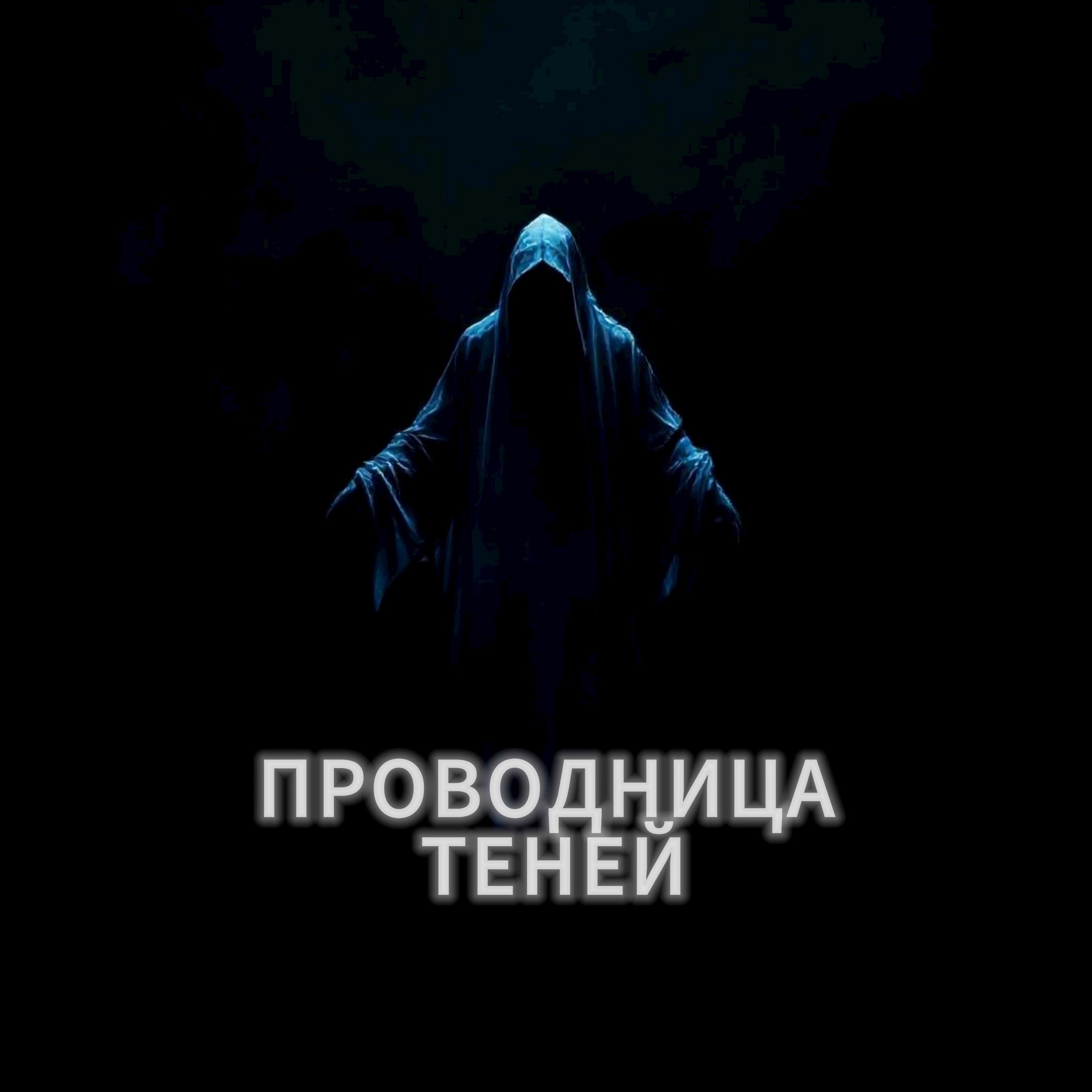 Обложка книги Проводница теней