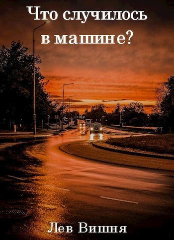 Обложка книги Что случилось в машине?