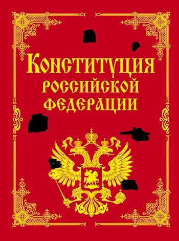 Обложка книги Темные пятна российской конституции