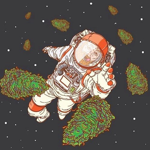 Обложка книги Назад в космос