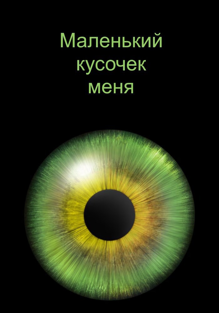 Обложка книги Маленький кусочек меня