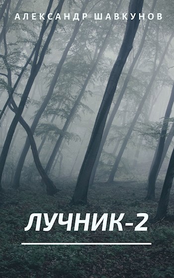 Обложка книги Лучник-2