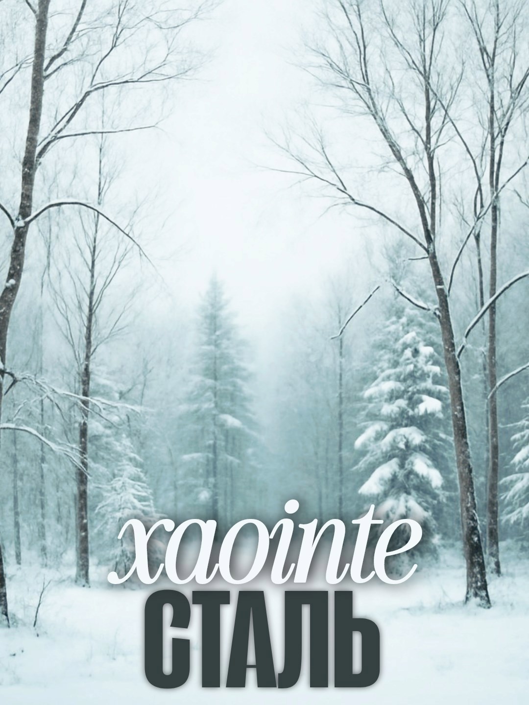 Обложка книги Сталь