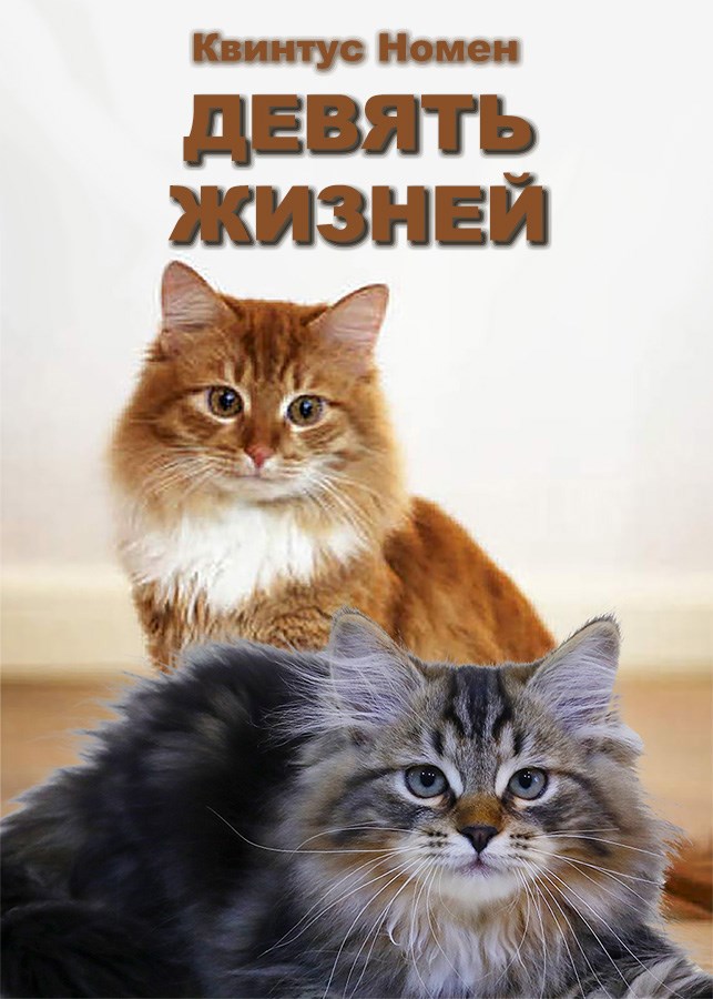 Обложка книги Девять жизней