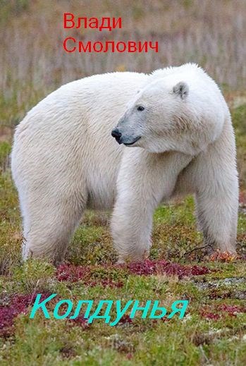 Обложка книги Колдунья