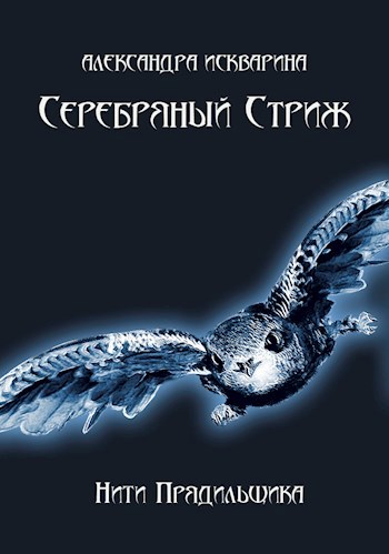 Обложка книги Серебряный Стриж