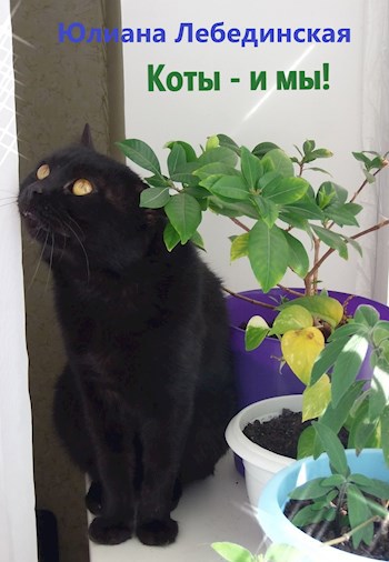 Обложка книги Коты - и мы!