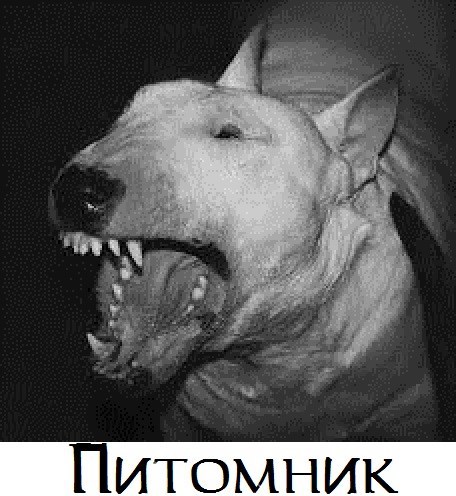 Обложка книги Питомник