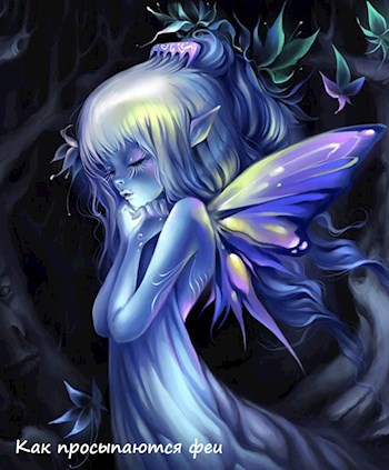 Обложка книги Как просыпаются феи