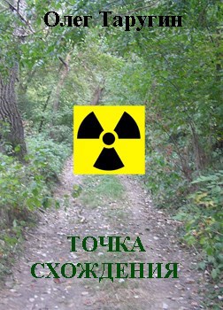 Обложка книги Точка схождения