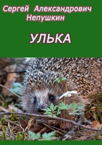 Обложка книги Улька