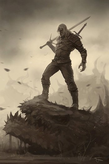 Обложка книги Ведзьмин