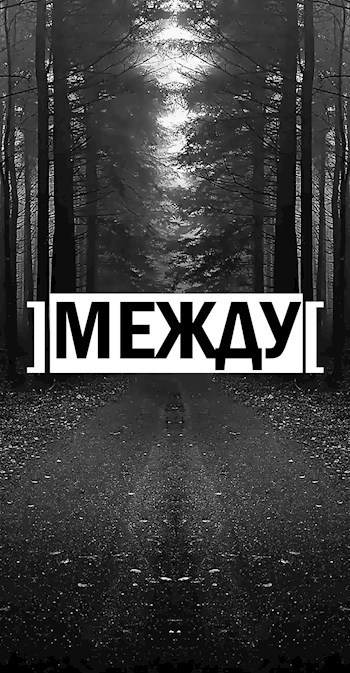 Обложка книги ]Между[