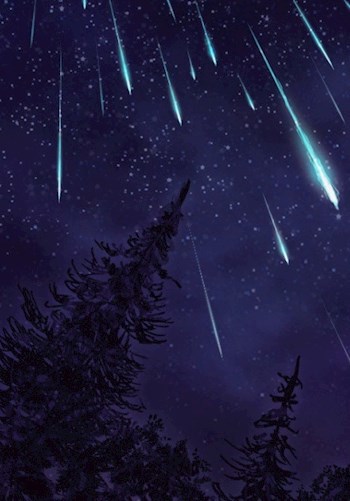 Обложка книги Ночное небо
